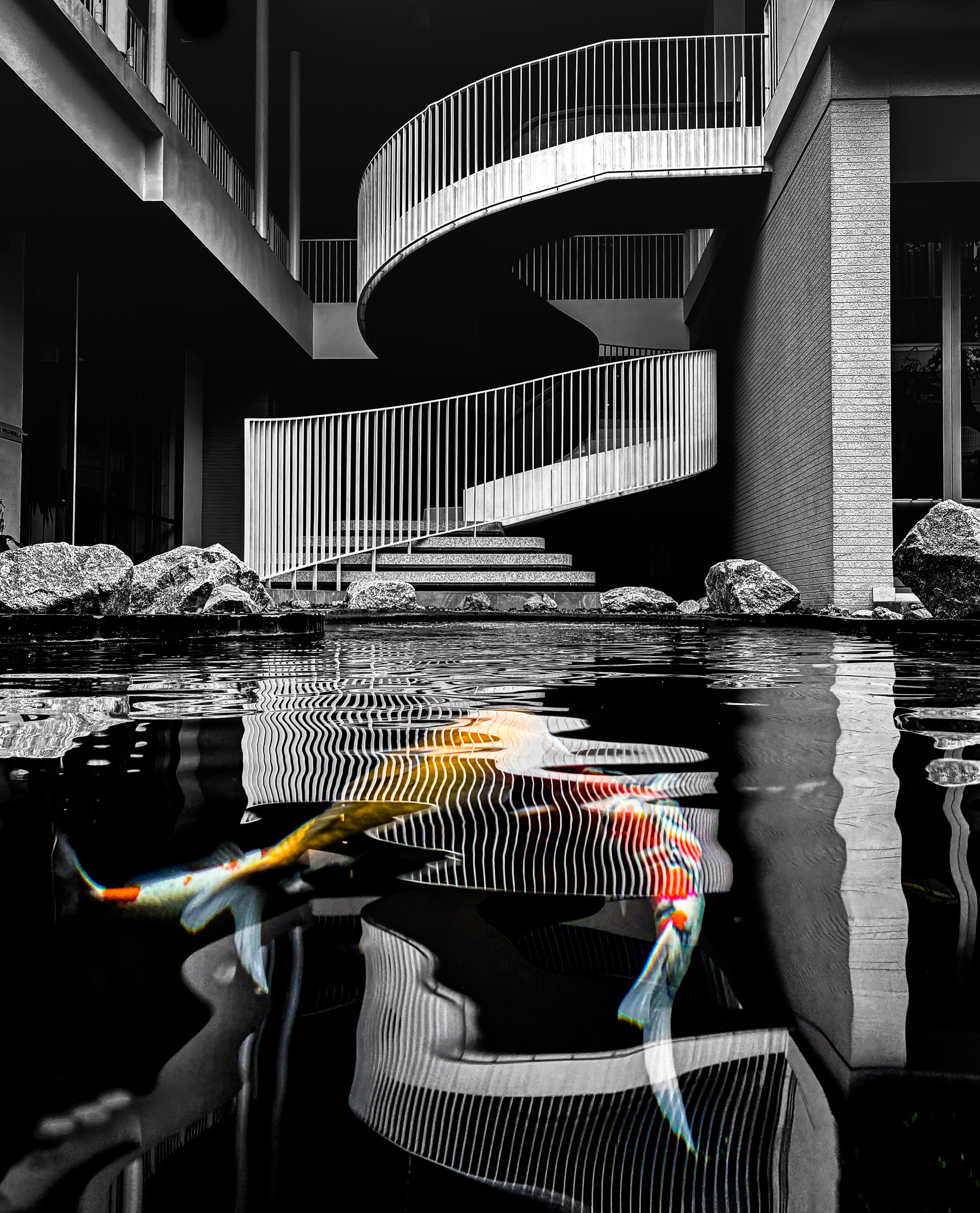 Koi and staircase composite